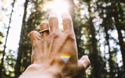 20 Inspirational Healing Quotes That Will Ignite Your Spirit