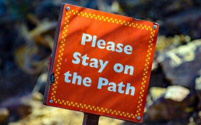 Top 20 Rules For Yoga – Dos And Don’ts For An Effective Yoga Practice